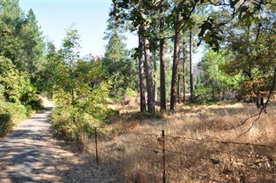 4635 Sand Ridge Rd, Placerville, CA 95667 photo 7