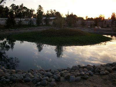 12380 Rising Rd, Wilton, CA 95693 photo 3