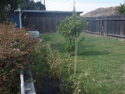 925 Loletta Ave, Modesto, CA 95351 photo 16