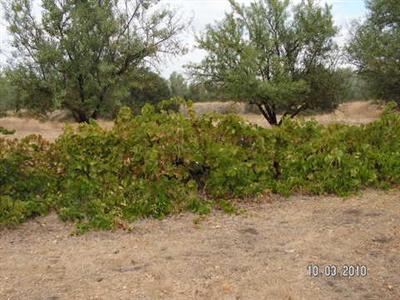 4280 E Merced Falls Rd, Snelling, CA 95369 photo 16