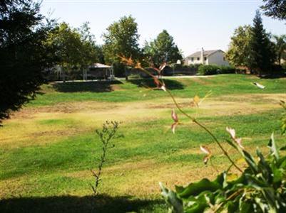 1014 Sparrow Hawk Ln, Patterson, CA 95363 photo 11