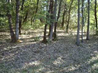 5341 Westley Rd, Placerville, CA 95667 photo 9
