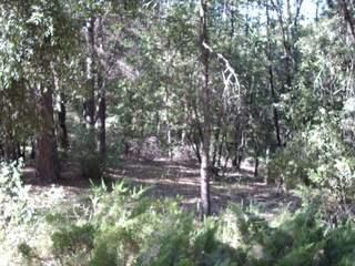 5341 Westley Rd, Placerville, CA 95667 photo 10