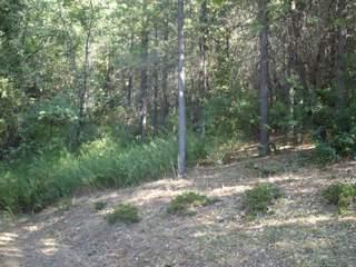 5341 Westley Rd, Placerville, CA 95667 photo 11