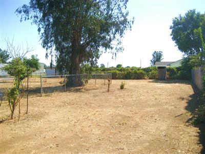 710 Craighton Ave, Elverta, CA 95626 photo 13