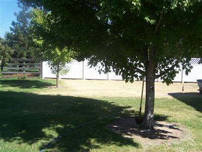 7850 Elwyn Ave, Elverta, CA 95626 photo 4