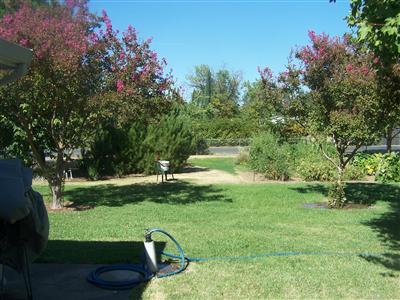 7850 Elwyn Ave, Elverta, CA 95626 photo 3