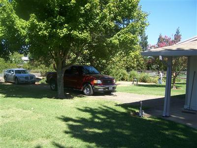 7850 Elwyn Ave, Elverta, CA 95626 photo 2