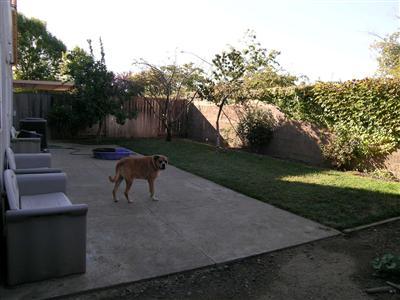 841 Glencreek Dr, Tracy, CA 95377 photo 10