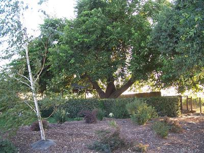 10461 Gamble Rd, Winton, CA 95388 photo 11