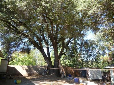 5552 Oak Leaf Cir, Placerville, CA 95667 photo 14