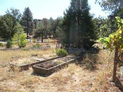 5552 Oak Leaf Cir, Placerville, CA 95667 photo 9