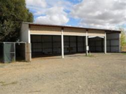 13179 Apple Rd, Wilton, CA 95693 photo 5