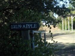 13179 Apple Rd, Wilton, CA 95693 photo 2