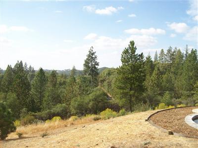14080 Shake Ridge Rd, Sutter Creek, CA 95685 photo 23