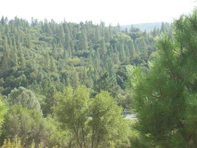14080 Shake Ridge Rd, Sutter Creek, CA 95685 photo 22