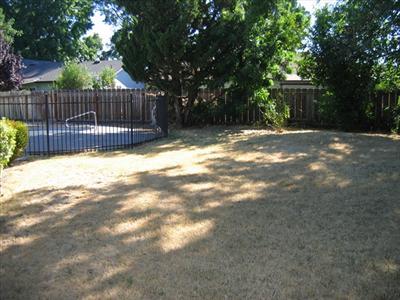 1220 Mist Flower Ct, Modesto, CA 95355 photo 8