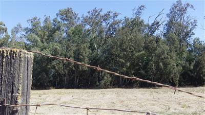728 Bliss Rd, Ceres, CA 95307 photo 25