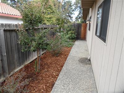 341 Norte Ave, Davis, CA 95616 photo 2