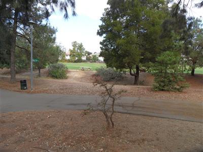 341 Norte Ave, Davis, CA 95616 photo 5