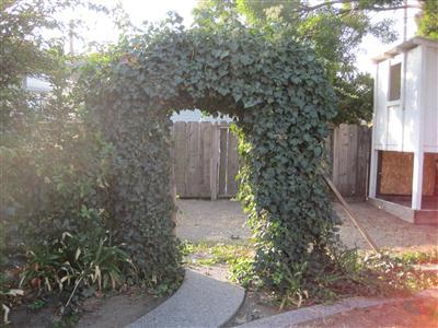 1345 S St, Newman, CA 95360 photo 10