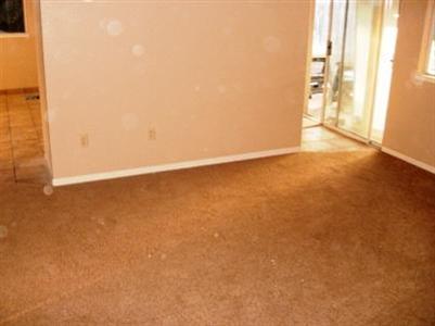1117 Eucalyptus Ave, Newman, CA 95360 photo 3