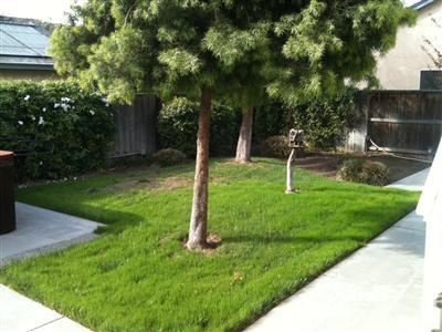4323 Bellevue Ct, Turlock, CA 95382 photo 21