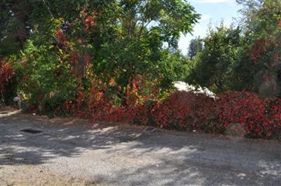 418 Mill St, Grass Valley, CA 95945 photo 3