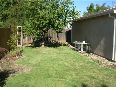 911 Robert Ave, Ripon, CA 95366 photo 13