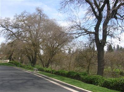 405 The Cv, Modesto, CA 95355 photo 4