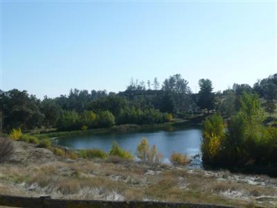 4320 Hillock Dr, Placerville, CA 95667 photo 4
