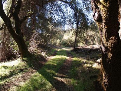 601 River Rd, Coloma, CA 95613 photo 19