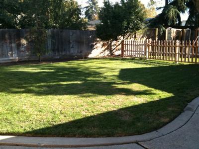 3120 Otis Ave, Modesto, CA 95350 photo 8
