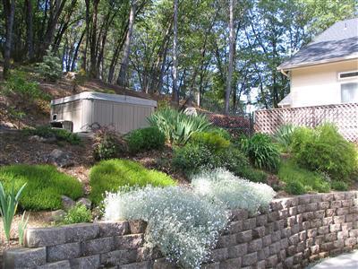 1049 Davos Ct, Colfax, CA 95713 photo 21