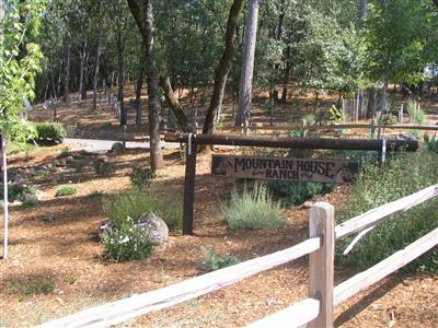 1049 Davos Ct, Colfax, CA 95713 photo 23