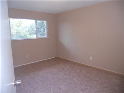 295 Laguna Dr, Tracy, CA 95376 photo 7