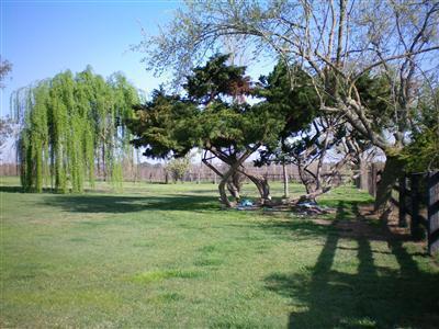 19783 Atkins Rd, Lodi, CA 95240 photo 2