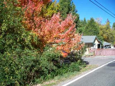 10476 Walker Dr, Grass Valley, CA 95945 photo 2