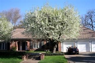 5120 Keane Dr, Carmichael, CA 95608 photo 1