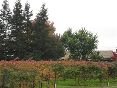 16205 N Davis Rd, Lodi, CA 95242 photo 1