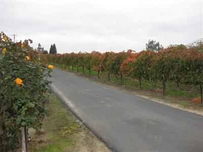 16205 N Davis Rd, Lodi, CA 95242 photo 2