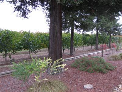 16205 N Davis Rd, Lodi, CA 95242 photo 8
