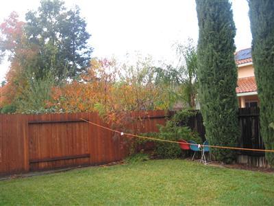 719 Kestrel Pl, Davis, CA 95616 photo 9
