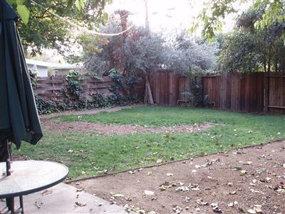 1418 Colgate Dr, Davis, CA 95616 photo 13