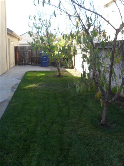 2281 Toscano Dr, Manteca, CA 95337 photo 14