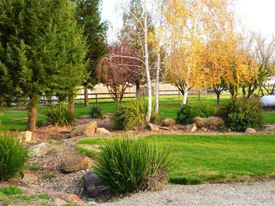 21676 E Copperopolis Rd, Linden, CA 95236 photo 3