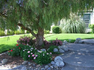 1755 Lilly Ct, Tracy, CA 95376 photo 2