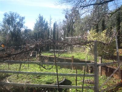 1700 Emmerson Rd, Placerville, CA 95667 photo 10