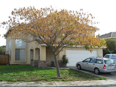 1954 Raven Ct, Tracy, CA 95376 photo 1