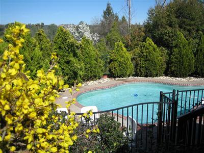 2362 Paddock Ln, Newcastle, CA 95658 photo 6